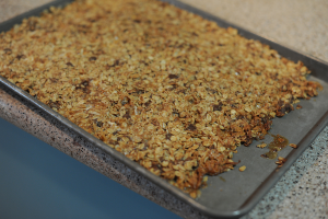 Chewy Homemade Granola Bars: Another Reason to Store OATS!