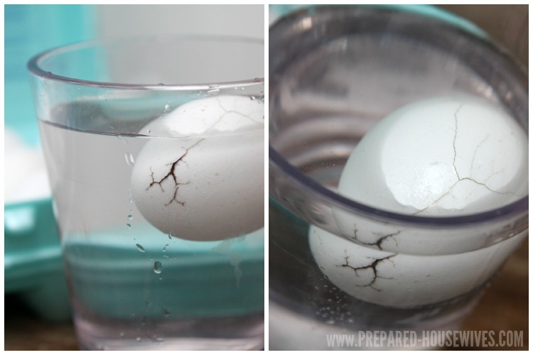 Cracked Mineral Egg