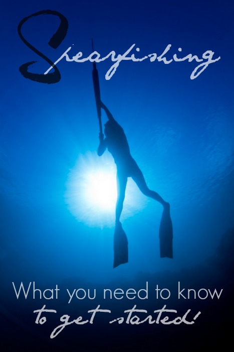 Spearfishing (underwater survival): What you need to know to get started!