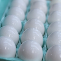 How to Preserve Eggs With Mineral Oil