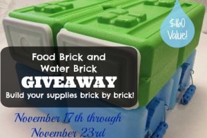 Food Brick and Water Brick Giveaway!